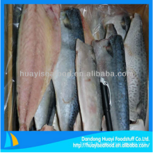 Schöne frische gefrorene Makrelen Fischfilet für guten Preis und Service